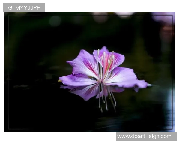 足球明星穿搭紫色鞋子时尚图片欣赏与潮流趋势解析